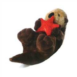 Cali Otter