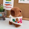Capybara con Sueter