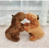 Capybara Mini