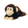 Cheki Chimp