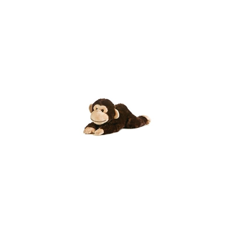 Chimp
