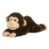 Chimp