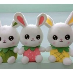 Coneja Disfraz De Frutas