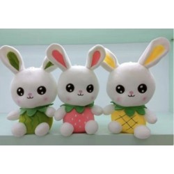 Coneja Disfraz De Frutas