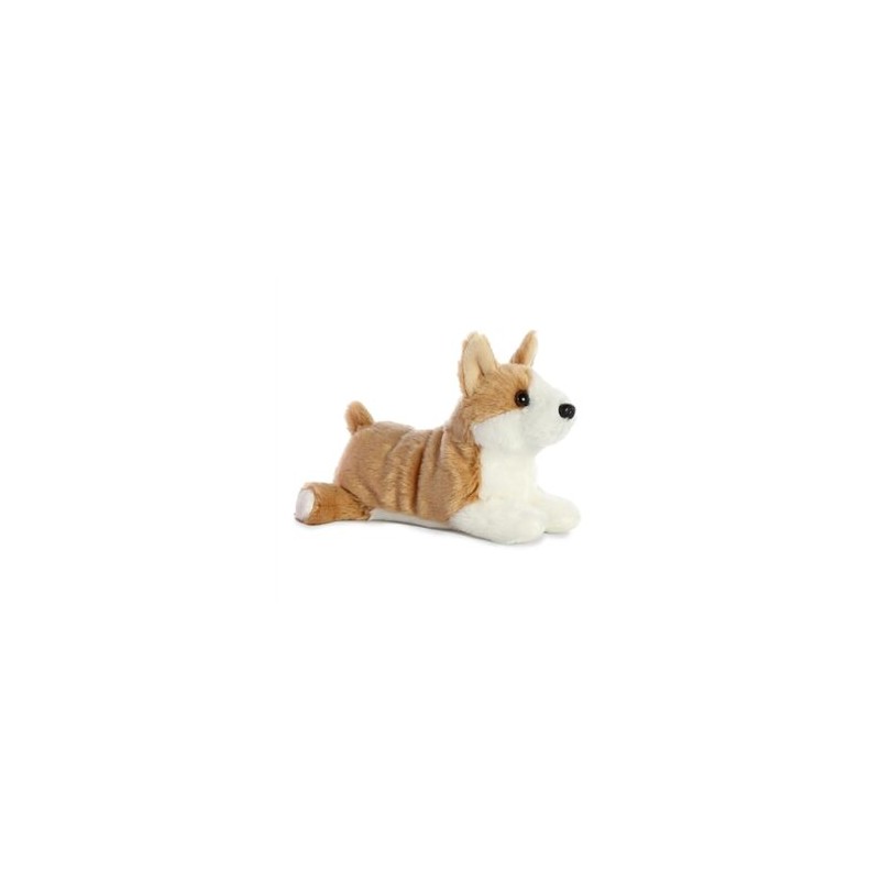 Corky Corgi