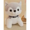 Husky