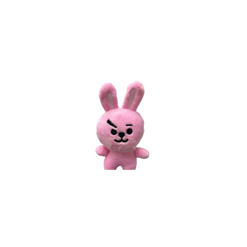 Llavero de Cooky