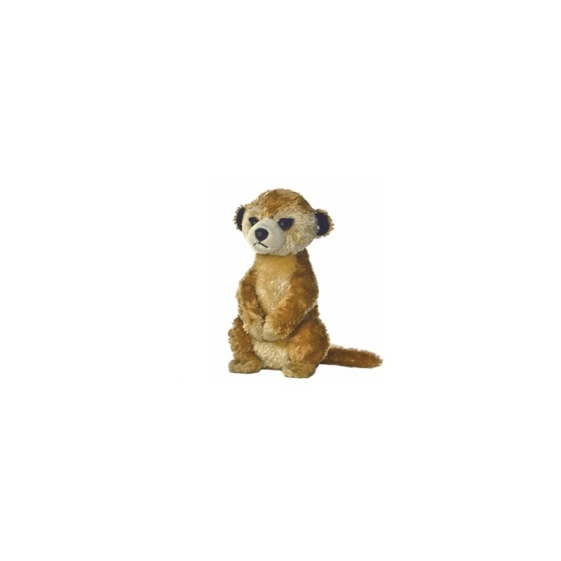 Meerkat II