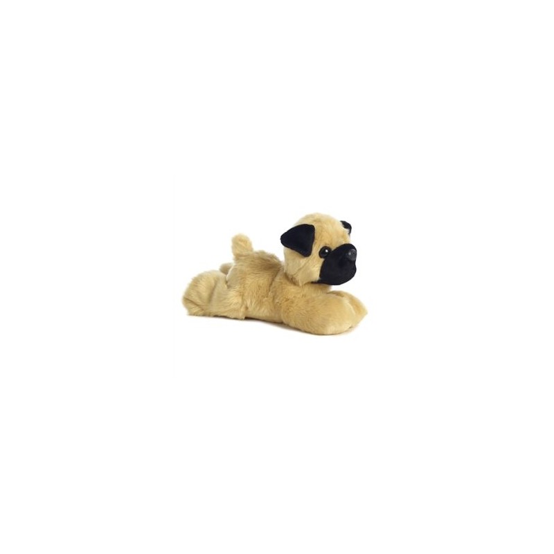 Mr.Pugster