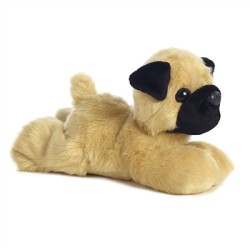 Mr.Pugster