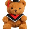 Osito Graduado