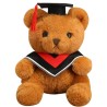 Osito Graduado