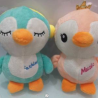 Pinguino Music MN