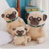 Pug