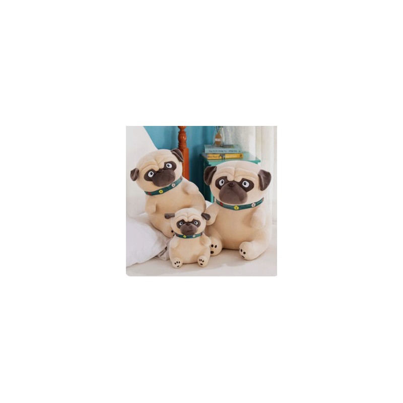 Pug con Collar