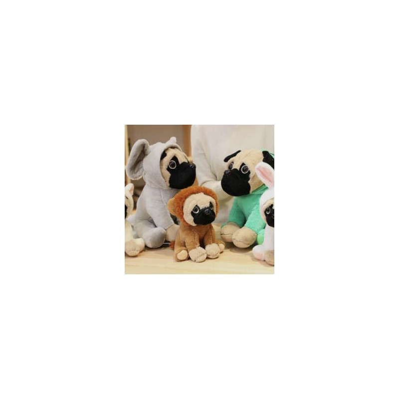 Pug con Disfraz