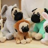 Pug con Disfraz