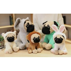 Pug con Disfraz
