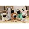 Pug con Disfraz