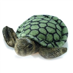 Sea Turtle