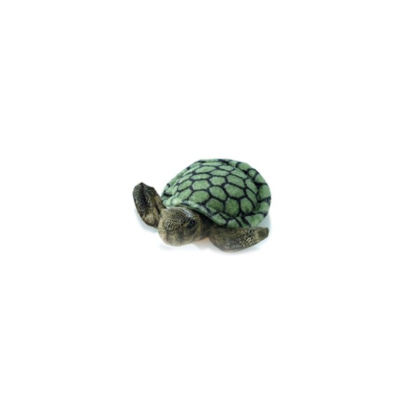 Sea Turtle