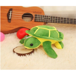 Tortuga