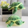 Tortuga Mini