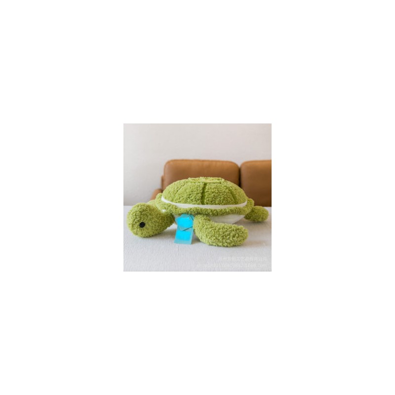 Tortuga Mojada