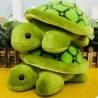 Tortuga Peluda
