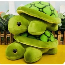 Tortuga Peluda