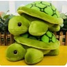 Tortuga Peluda