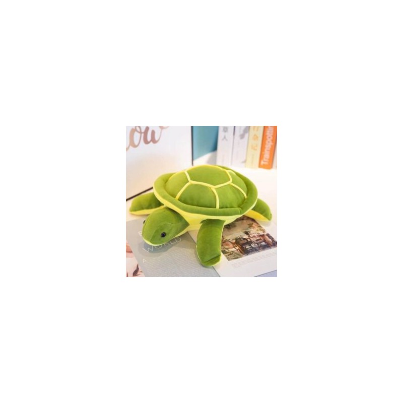 Tortuga Soft