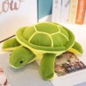 Tortuga Soft