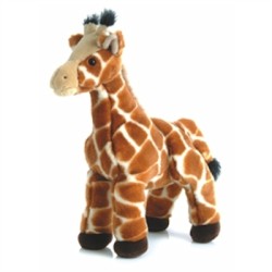 Zenith
